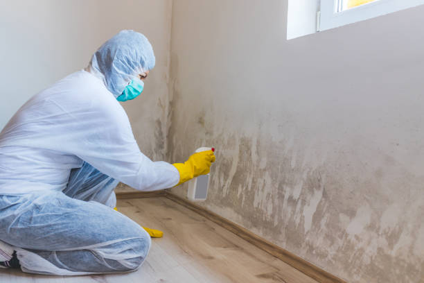 Bathroom Mold Removal assessment in Welcome bathroom